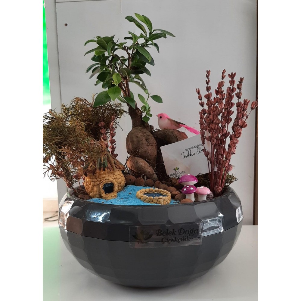 bonsai çiçeği teraryum 